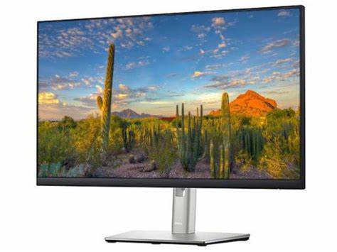 Dell 24 Monitor - P2422H 